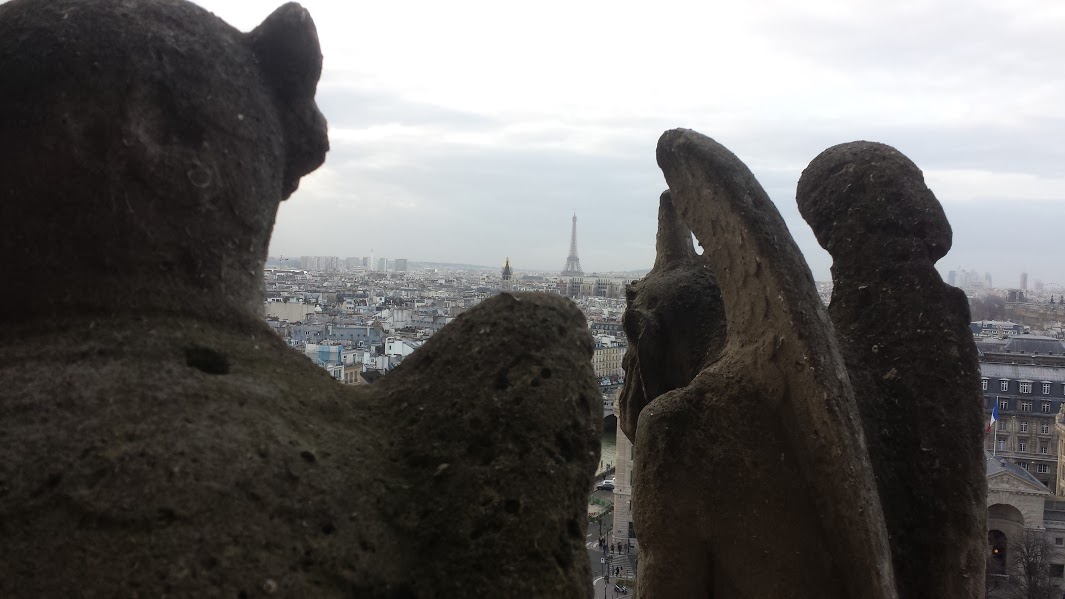 20160116_154525_Boulevard Raspail