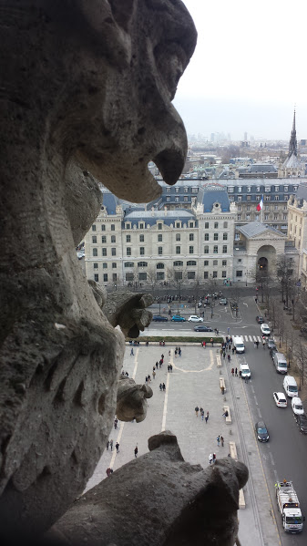 20160116_154809_Rue du Cloître Notre Dame