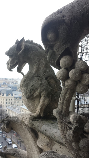 20160116_155945_Rue Vavin