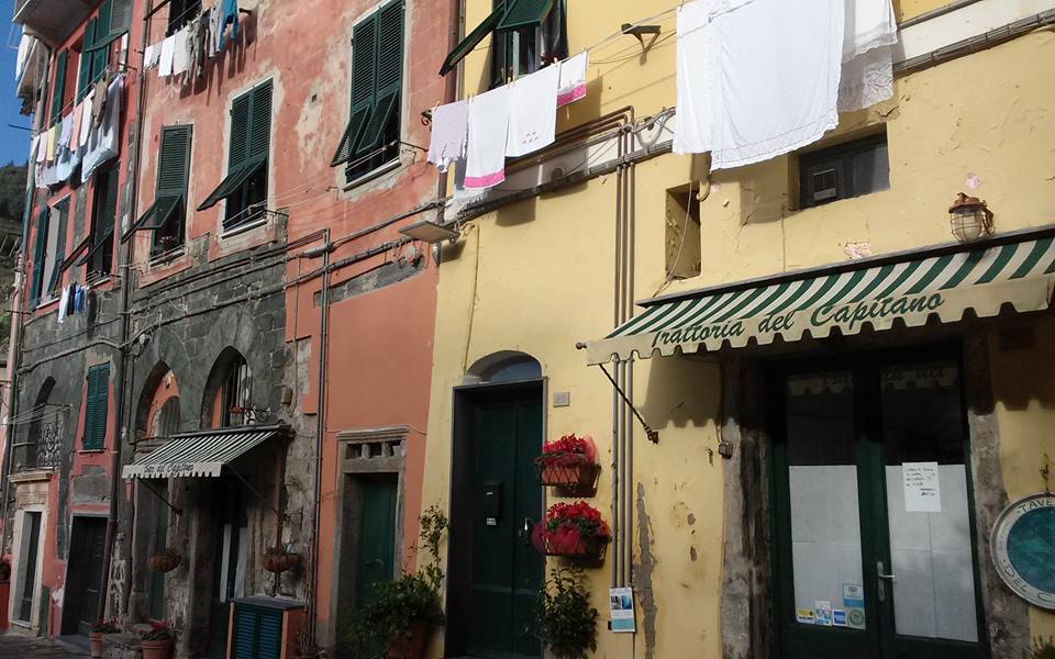 10354235_10208444271126968_4100236482525423917_n