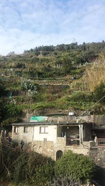 12472395_10153863847746411_2144740727245261038_n