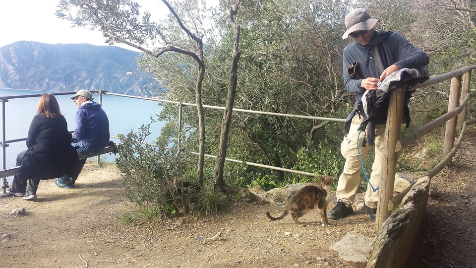 12509822_10153863841346411_8265568622021873120_n