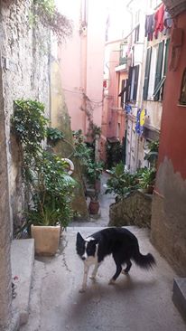 12512715_10153863853656411_289111742083789472_n