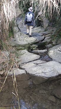 12540819_10153863832481411_5865422507167212564_n