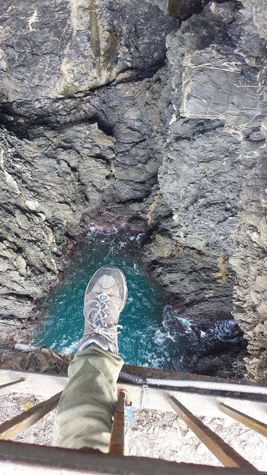 12592686_10153863802236411_3902028019332264837_n