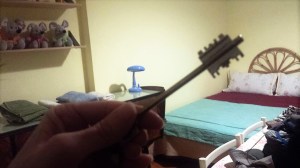 20160120_193424_via-salaria