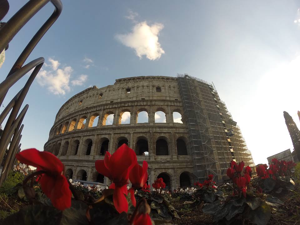 1013342_10153867856956411_4332156992961579508_n