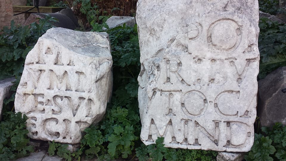 12507575_10153867854661411_2685617240762009908_n