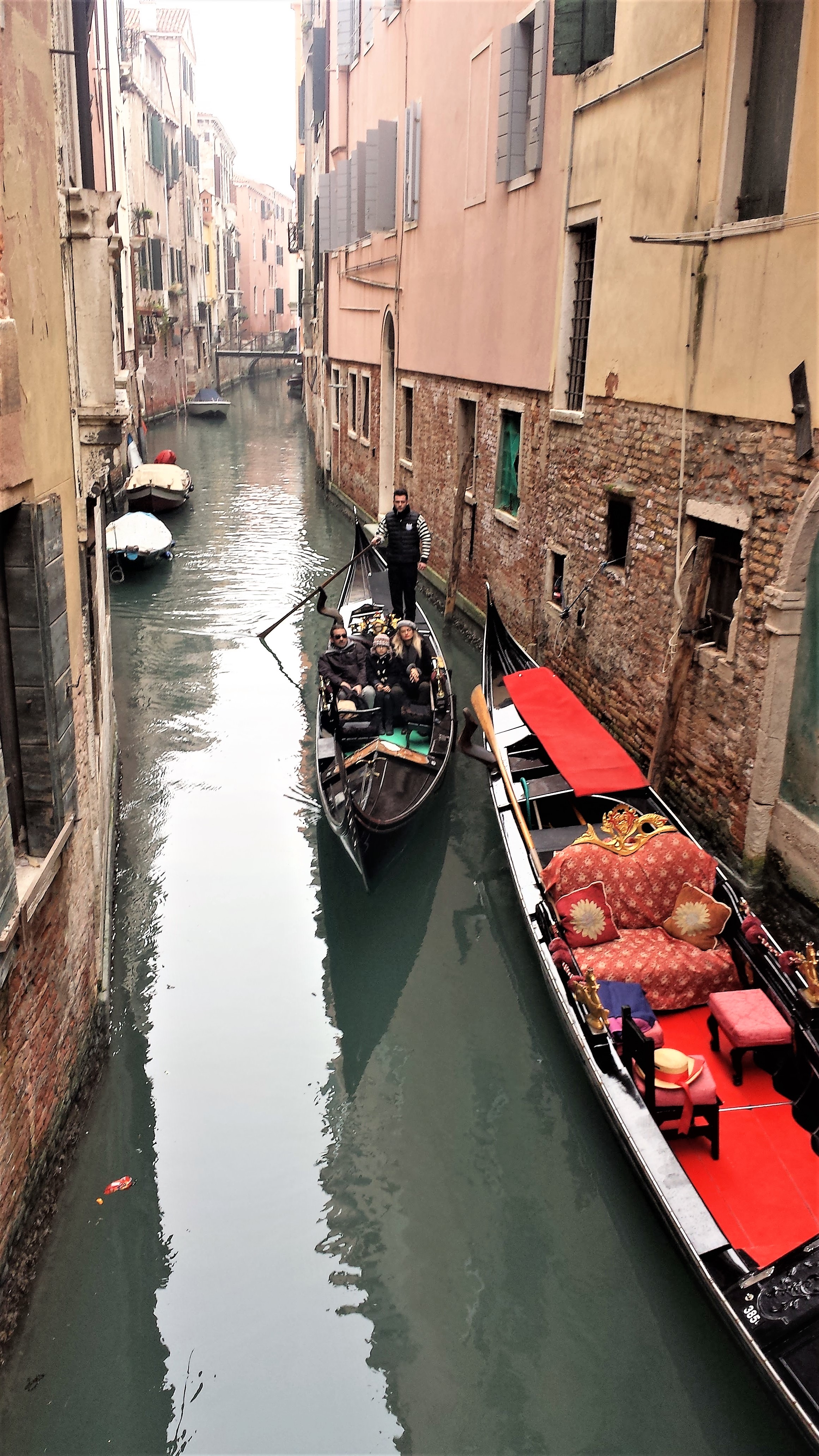 20160128_110828_Calle Dolfin