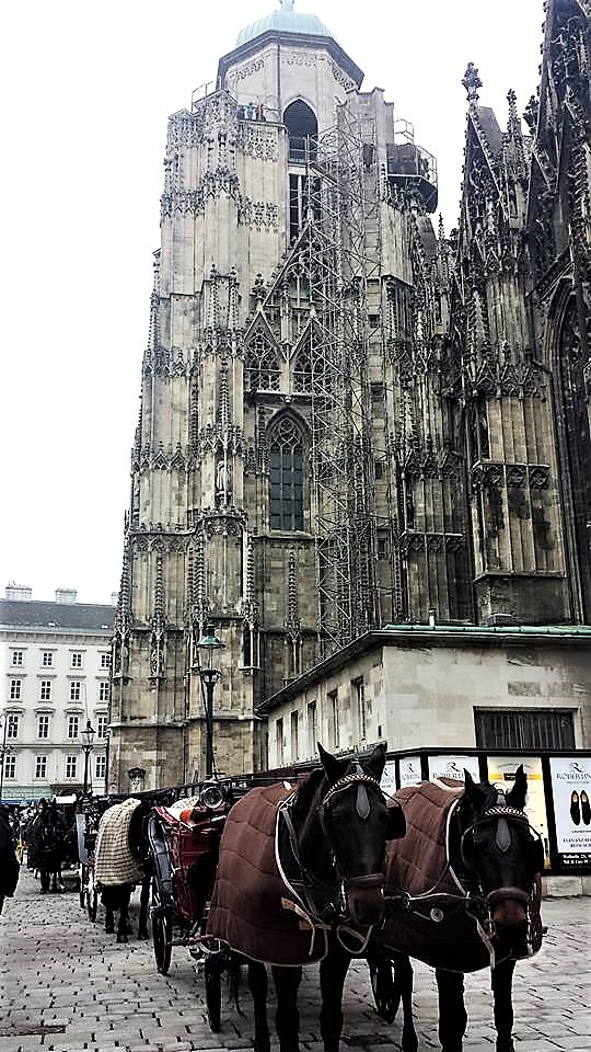 12417642_10153885076416411_4980272345202370123_n