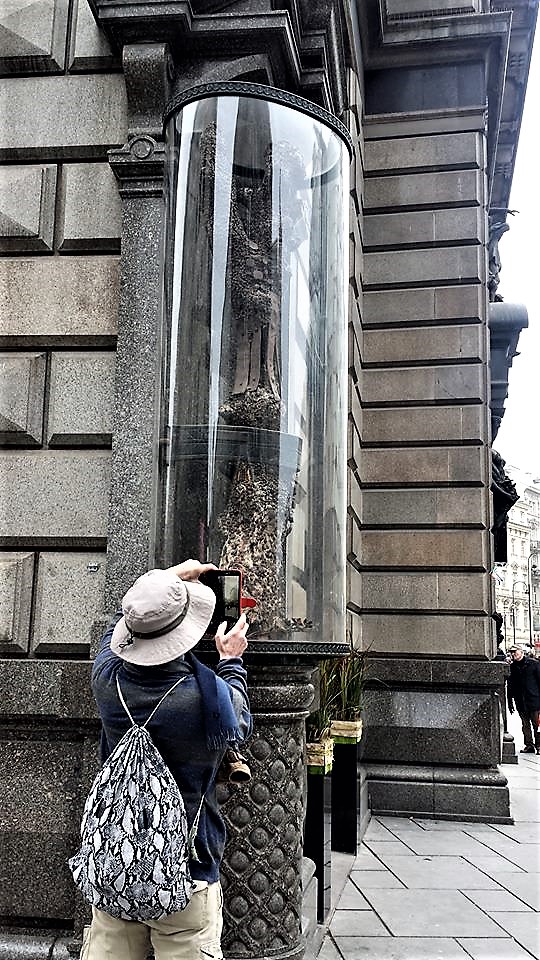 12565445_10153885169856411_2613463220020400951_n