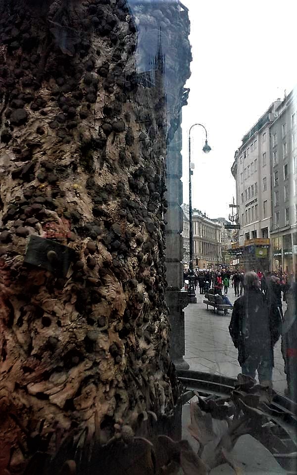 12670040_10208528712357946_5847129509020015181_n