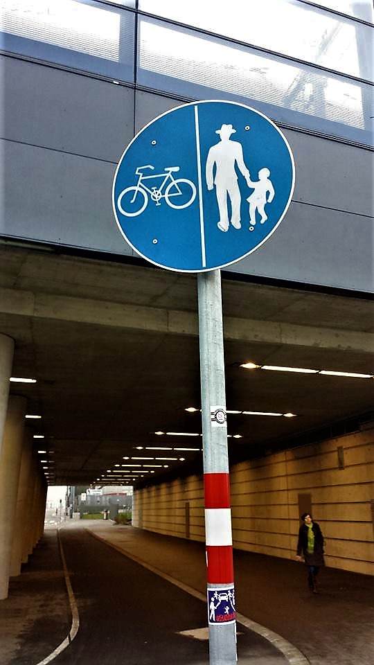 12670246_10153885170791411_8840523129893369053_n