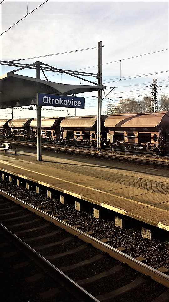 12512622_10153886877636411_6794563153840494790_n