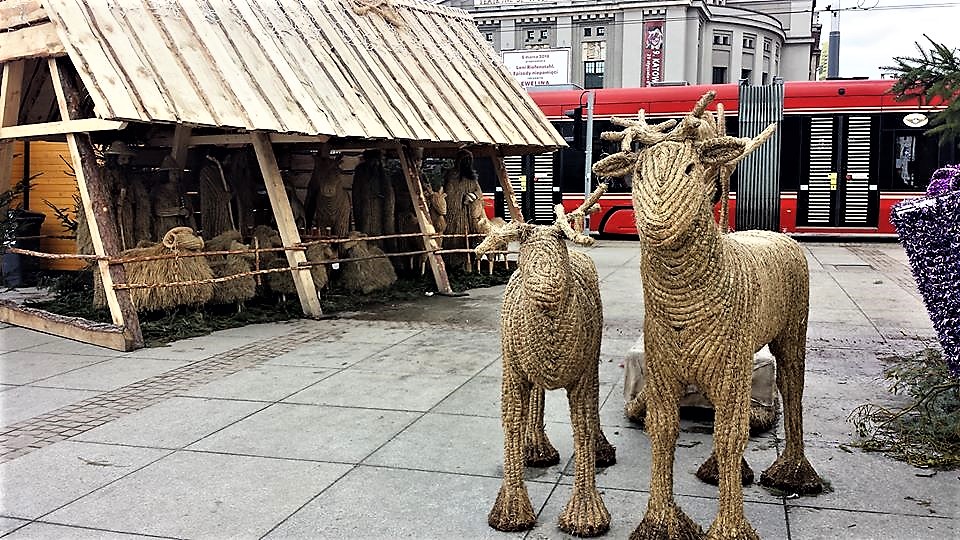 12650986_10153886903736411_5047789151280963622_n