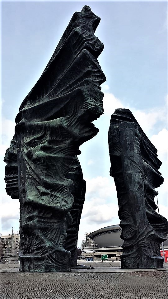 12661856_10153886909276411_7282865468161345590_n