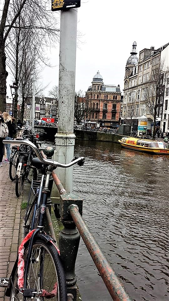 12645261_10153896322856411_5733481746422350985_n