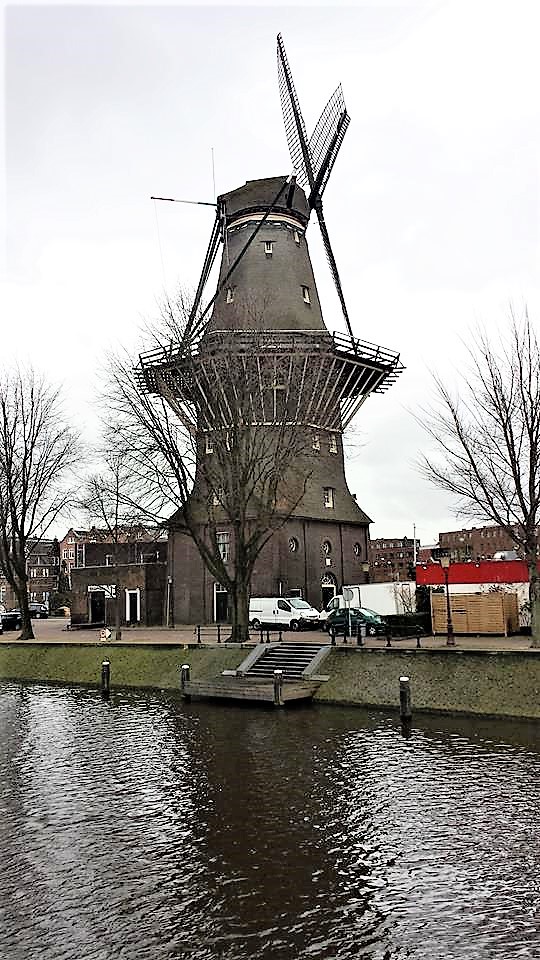 12687887_10153896373206411_8643811212086350668_n