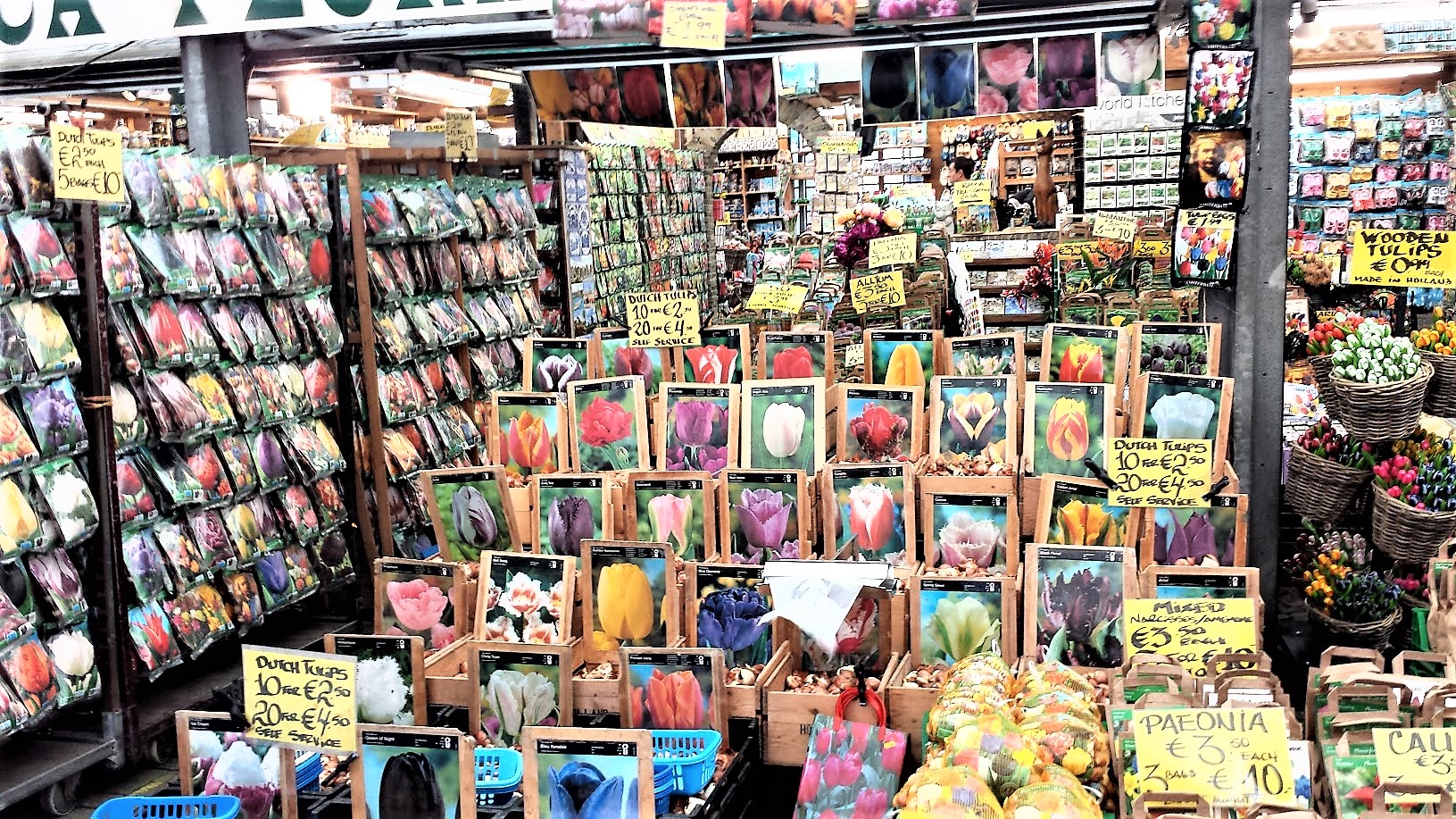 20160205_122218_Singel