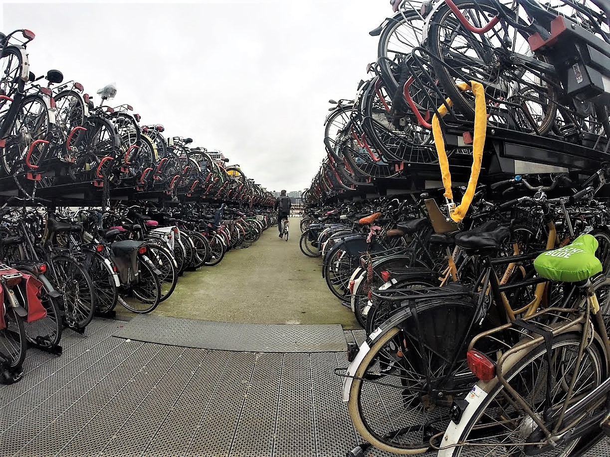 GOPR7078_1454830733737_high