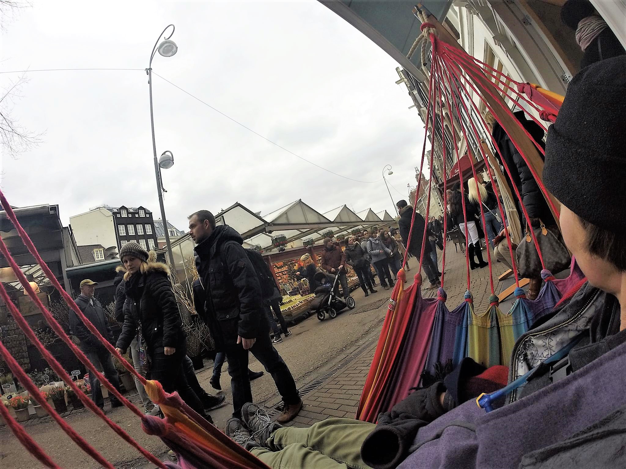 12657313_10153900767391411_7009322255368814732_o