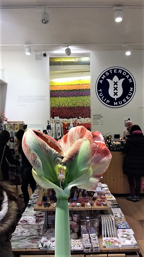 20160206_165214_Prinsengracht