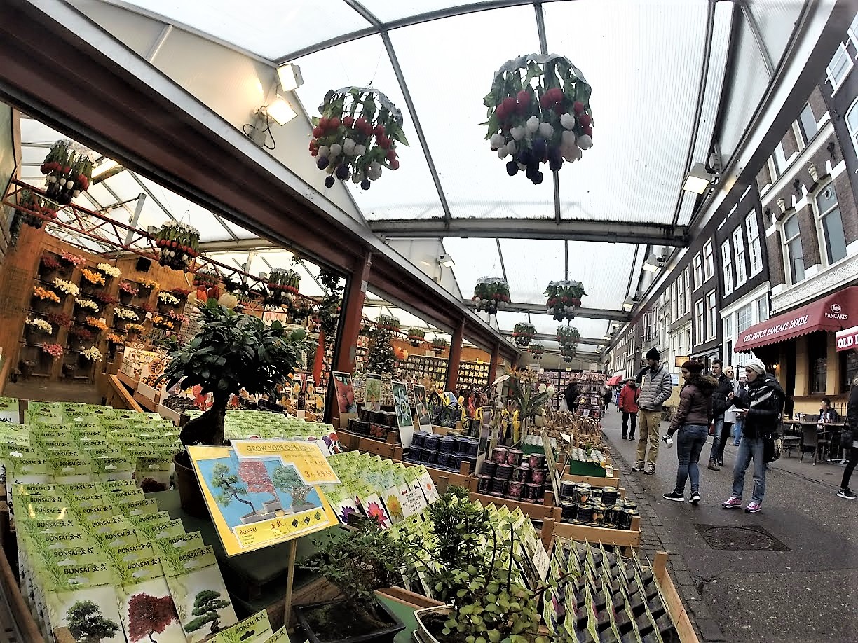 G5526924_1454696340416_high