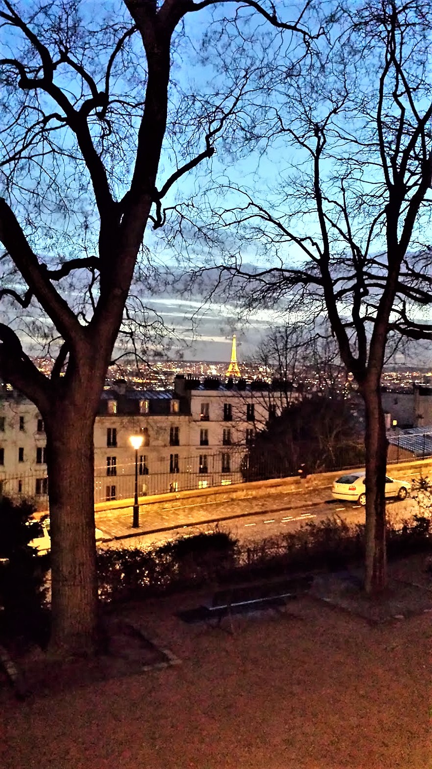 20160208_183857_Rue Azais