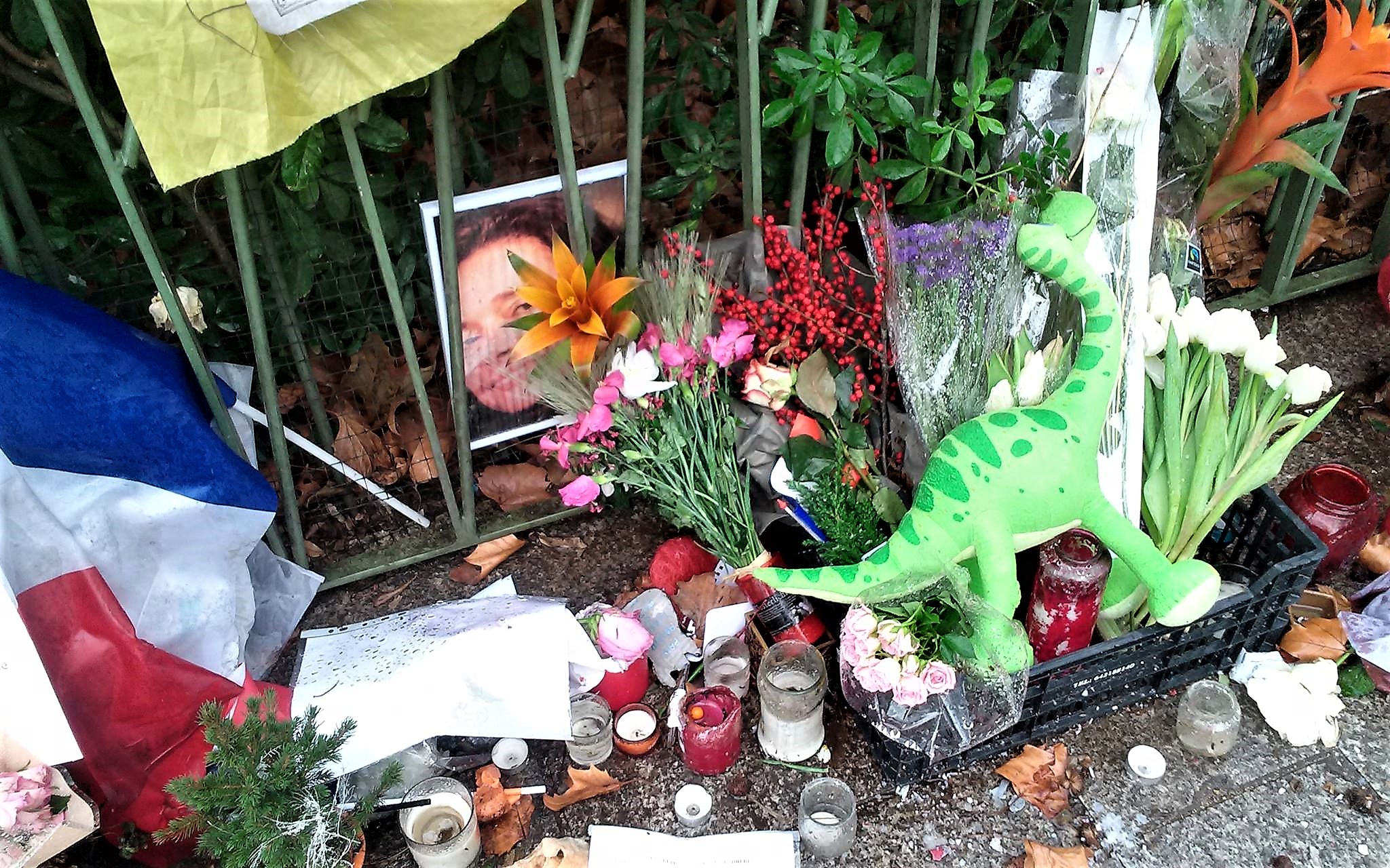 12694885_10208602367279273_3673785223852870291_o