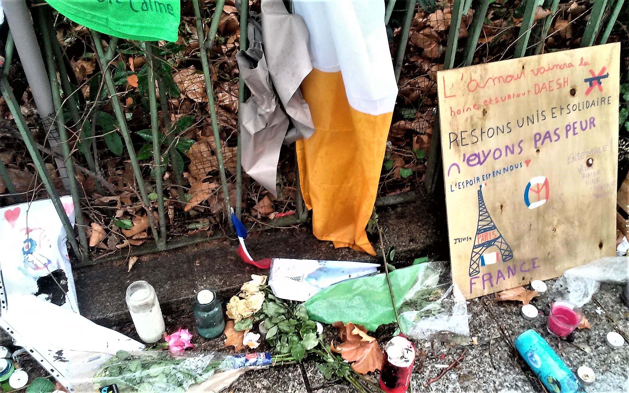 12710997_10208602337918539_1602824188250022547_o