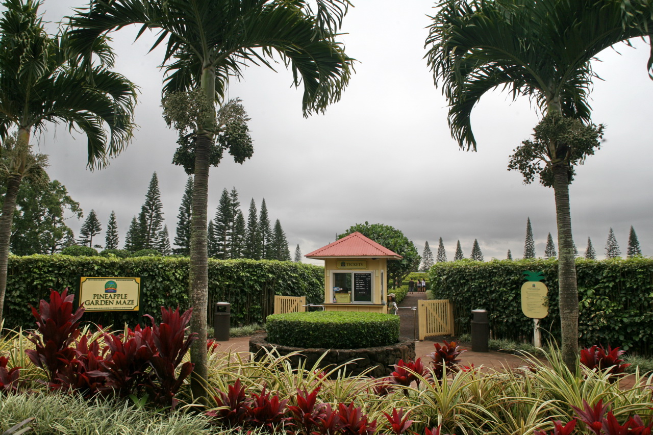 Pineapple_Garden_Maze_(2858310906)