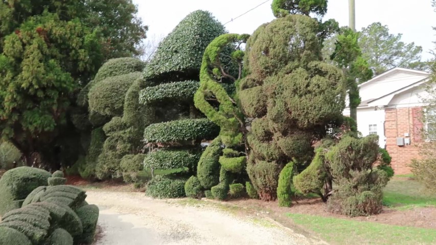 Fanciful hedges