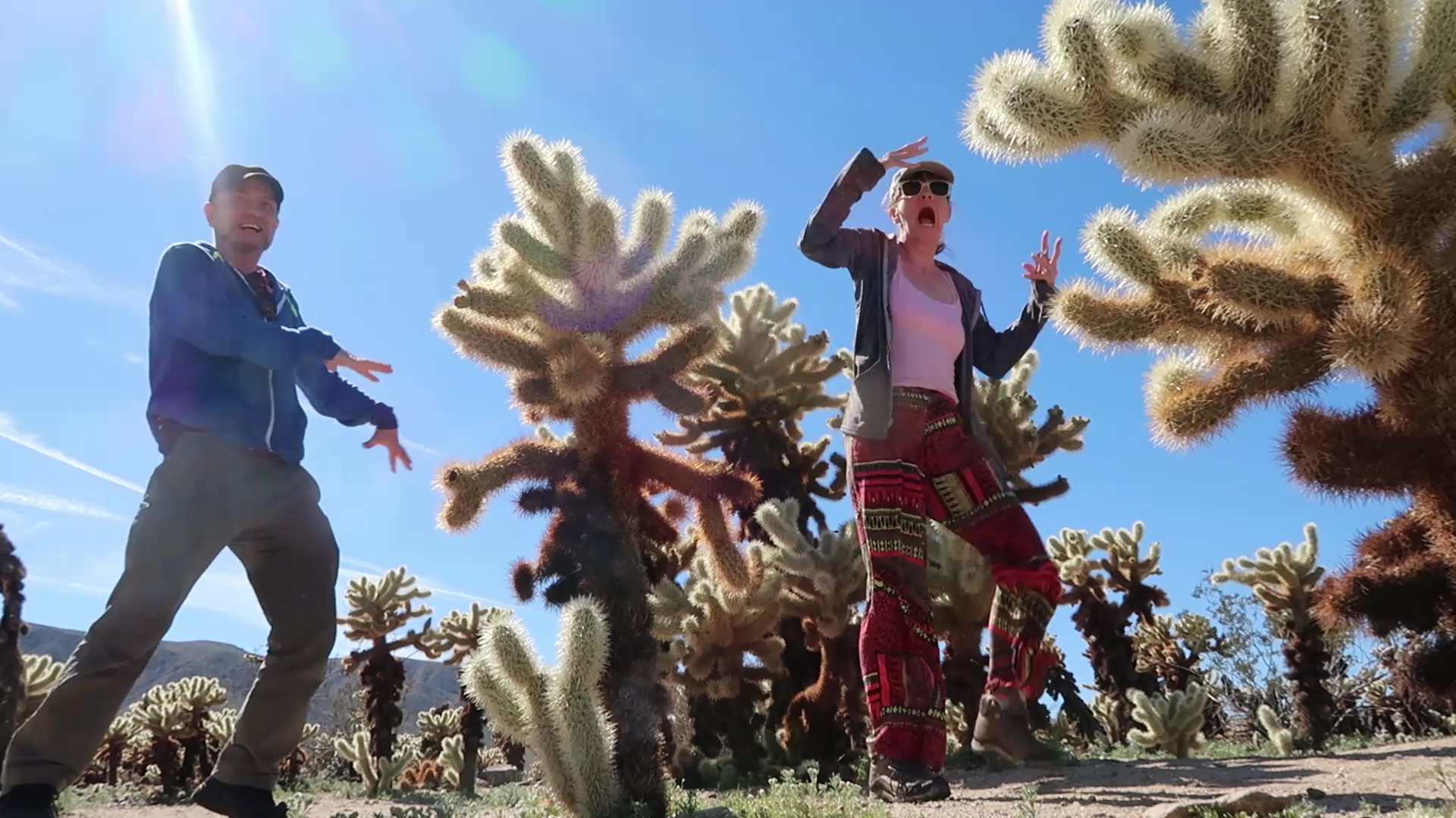 Joshua Tree Jaunt