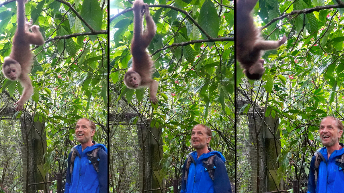 Monkeying Around in Puyo