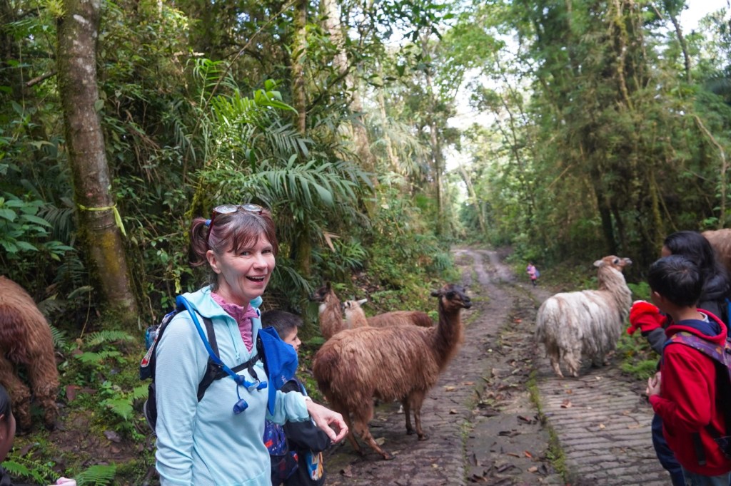 UBHA the One-Room Schoolhouse in a Colombian Cloud&nbsp;Forest