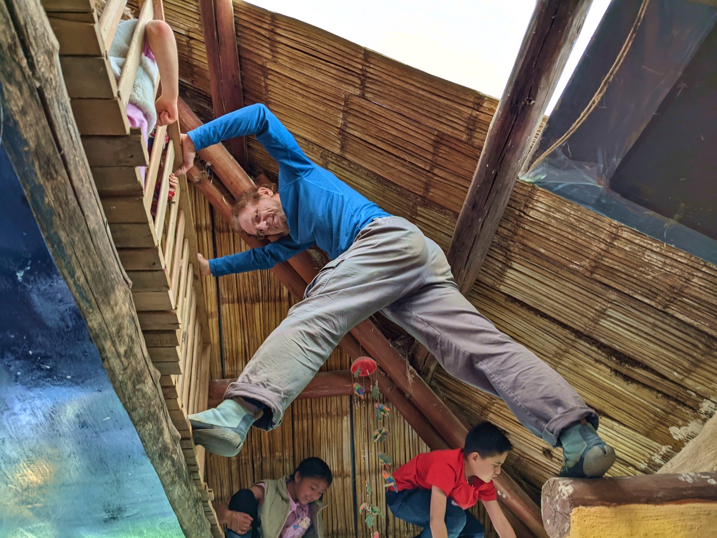 Dramatic Play, Wild Mushrooms and Glass-winged Butterflies