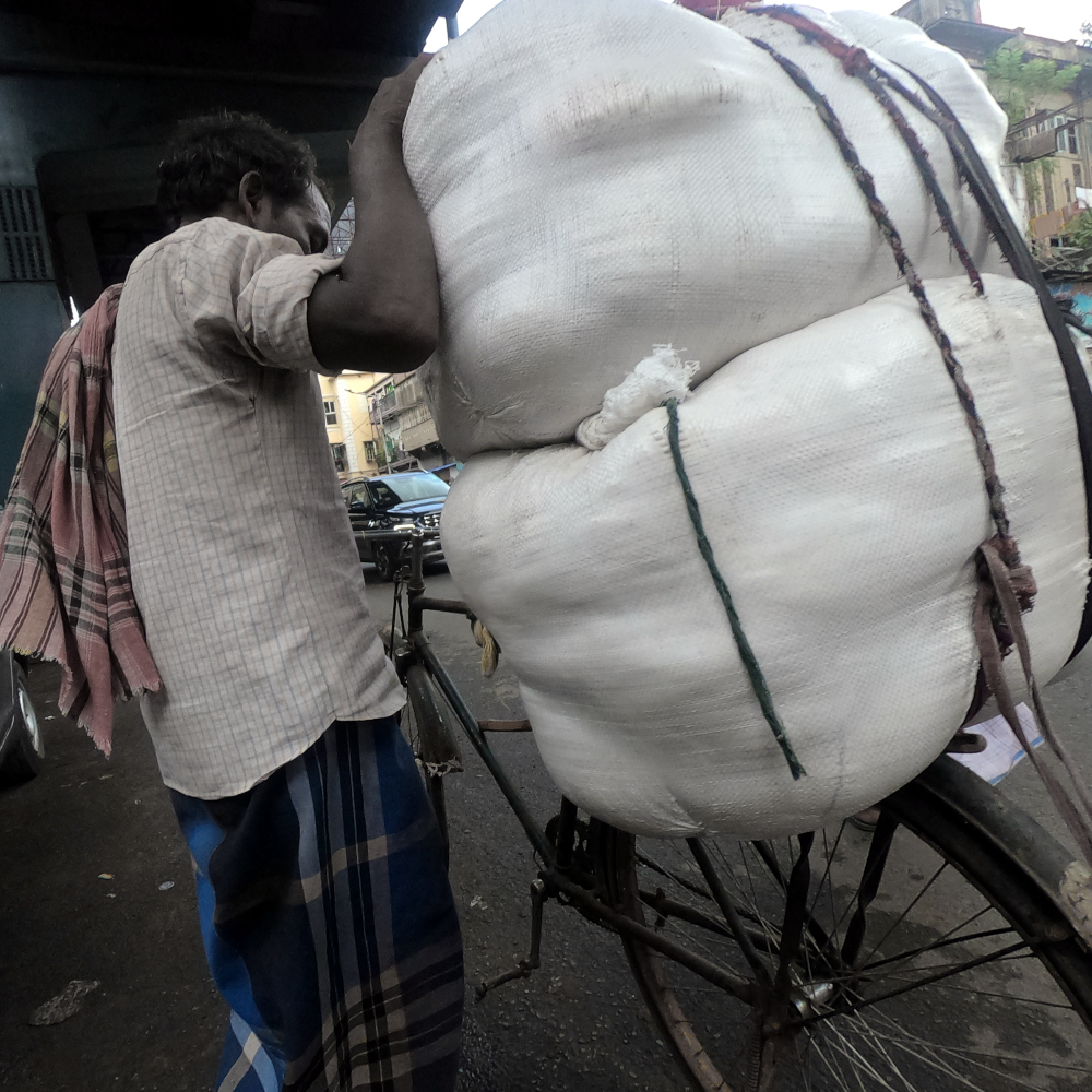 Hauling goods by bicycle in Kolkata