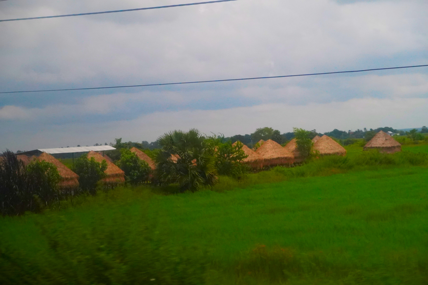 grass huts for picnicking along the road to Siem Reap