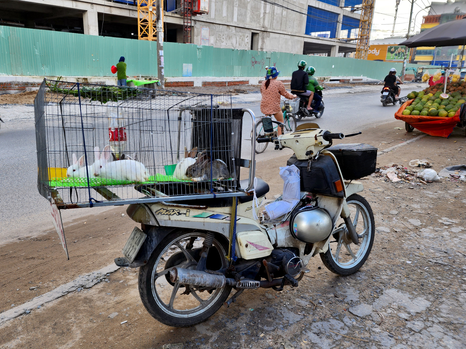 rabbits in a cage on a motorbike