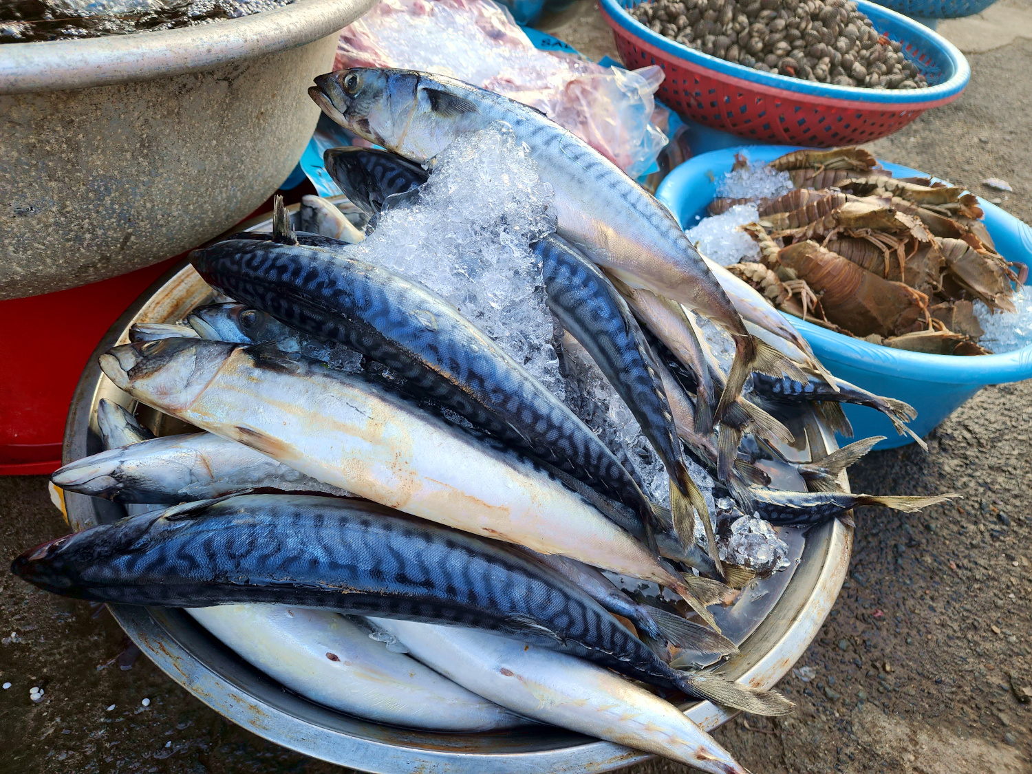 fresh fish at Psa Toul Tompoung (Russian Market)