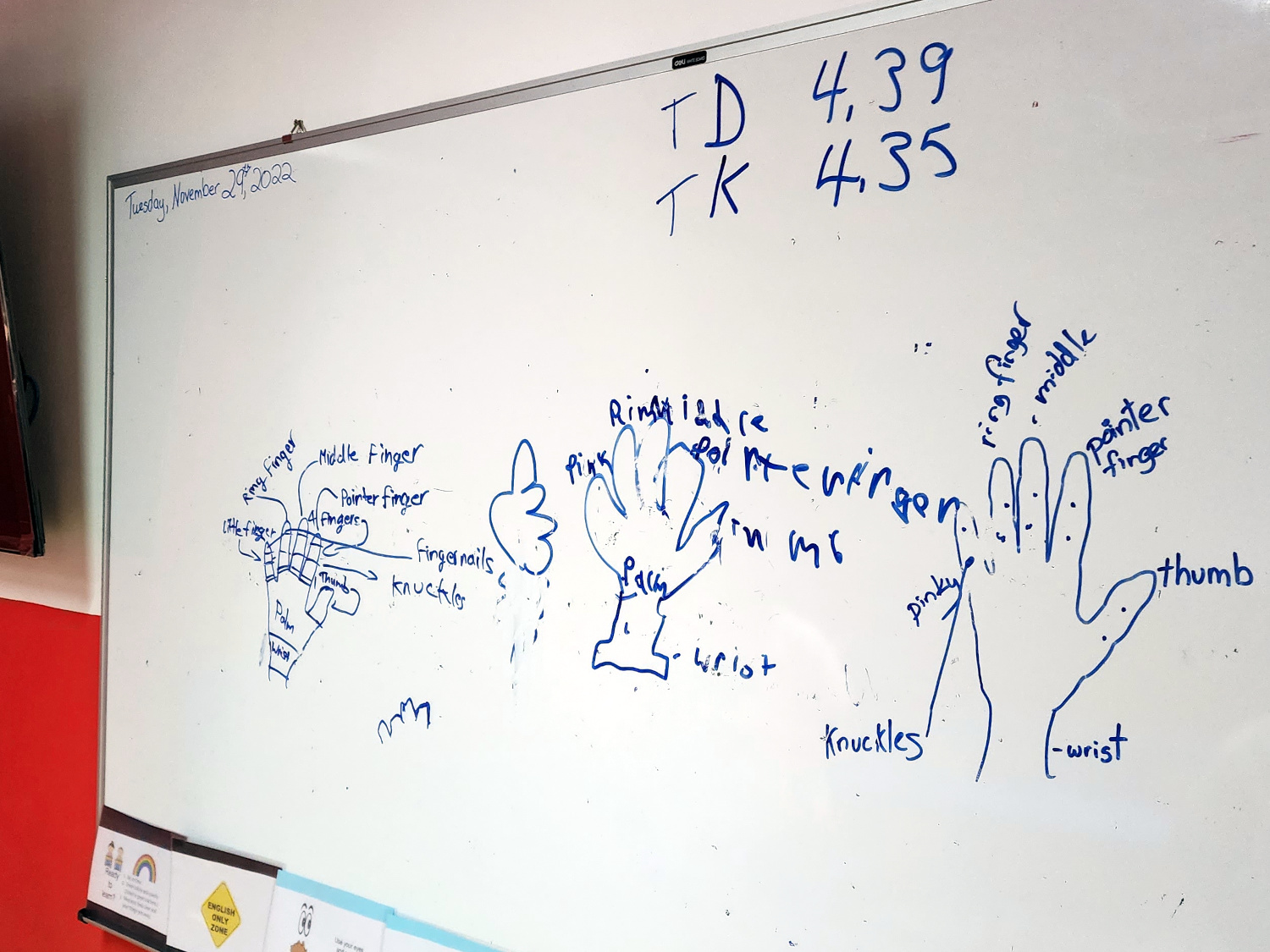 teaching English - names of parts of hand, Phnom Penh WorkAway experience