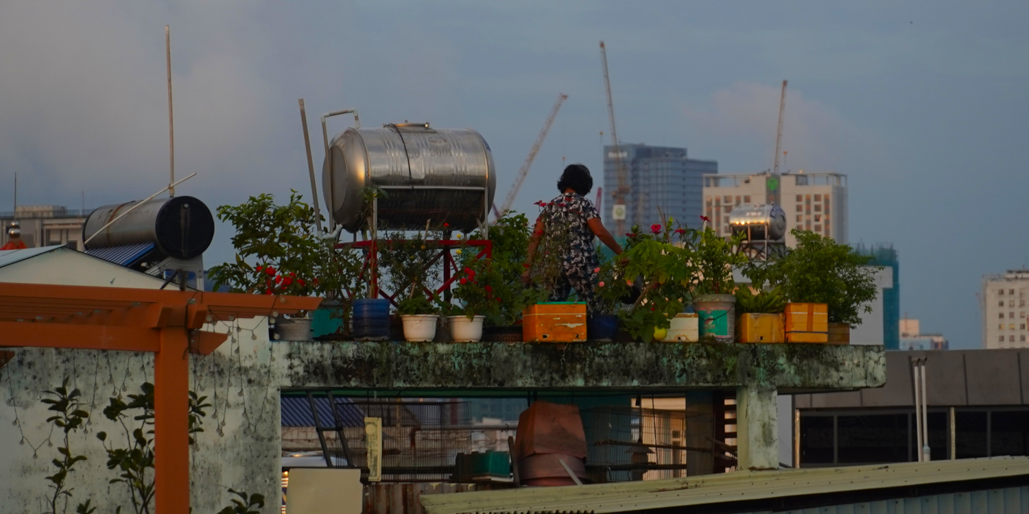 lady tending to garden on rooftop, Ho Chi Minh