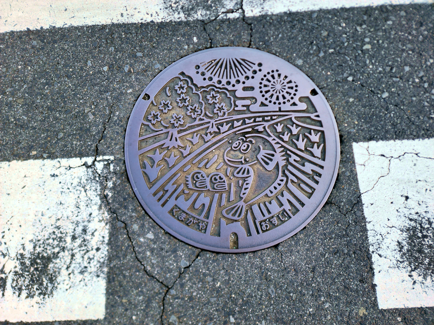 Quirky Japan: Vending Machines, Backpacks, and Manhole Art