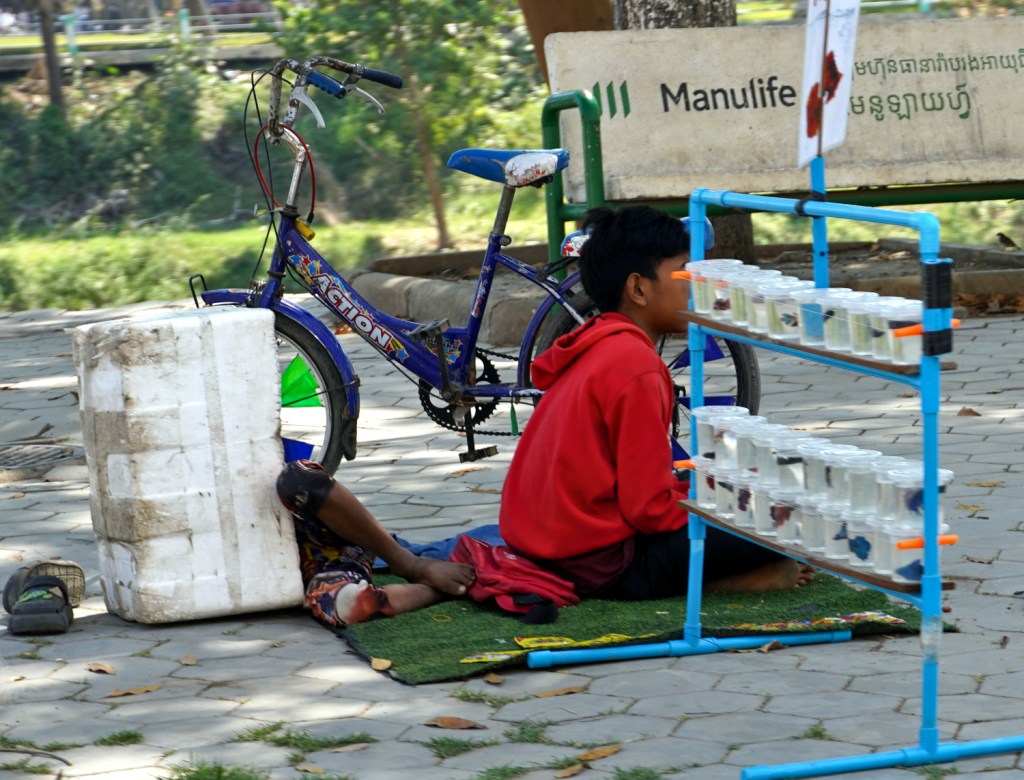 Escaping the Unexpected Noise of a Peaceful Village in&nbsp;Cambodia