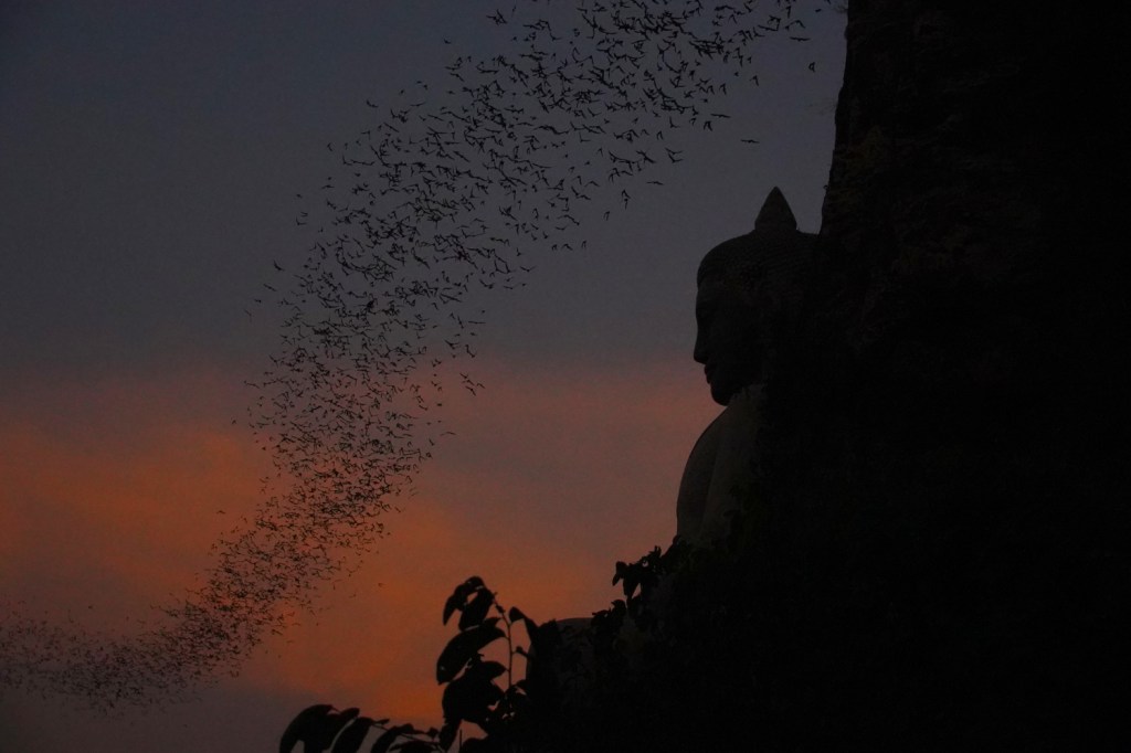 Discovering a Hidden Grotto in Phnom Sampov; with a side of Pineapple, Monkeys and&nbsp;Bats