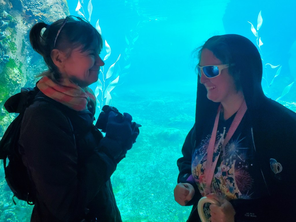 Things to Do in Fresno: Chaffee&nbsp;Zoo