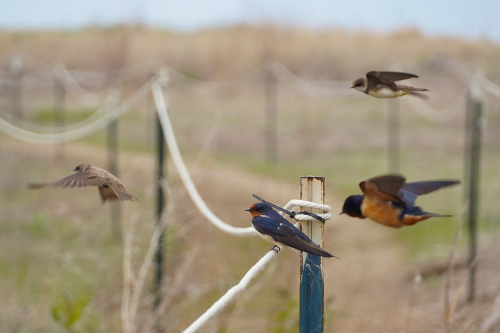 RVing Through PA: Hiking, History & 5 Wits&nbsp;Spying