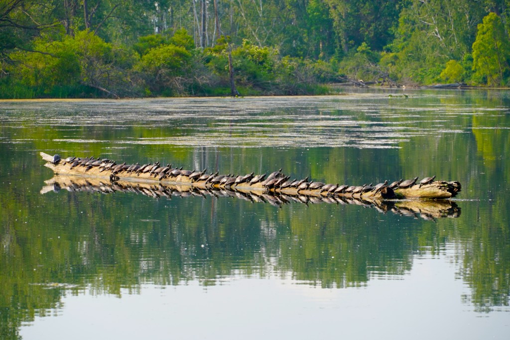 Why We Visited Presque Isle Twice in Two&nbsp;Days