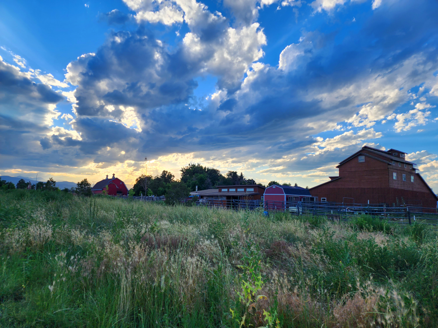 Prairie Dogs & A Swimming Hole: Day Trips near Denver