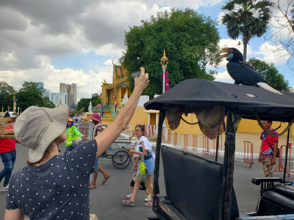 Expat Life in Phnom&nbsp;Penh